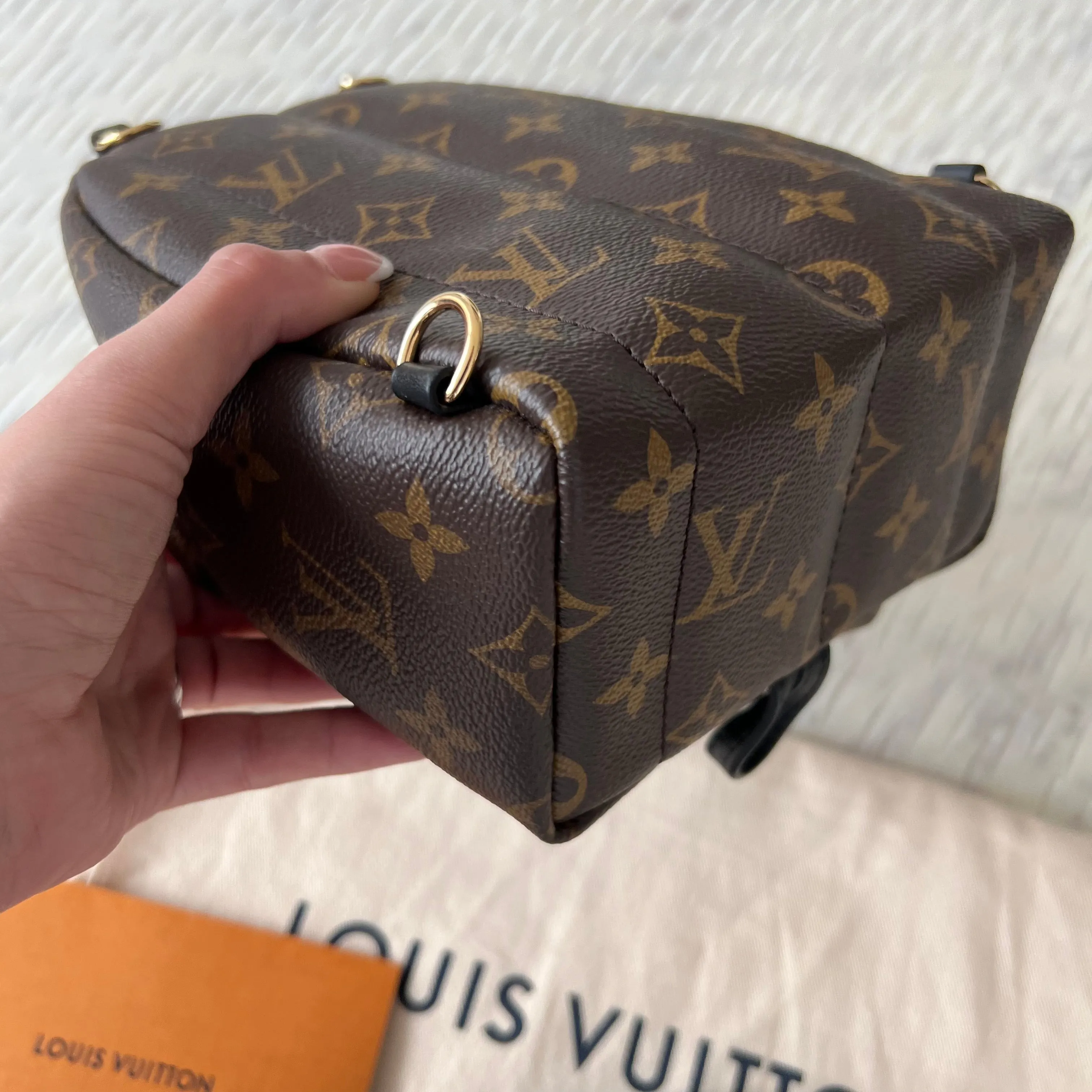 Louis Vuitton Palm Springs Mini Backpack