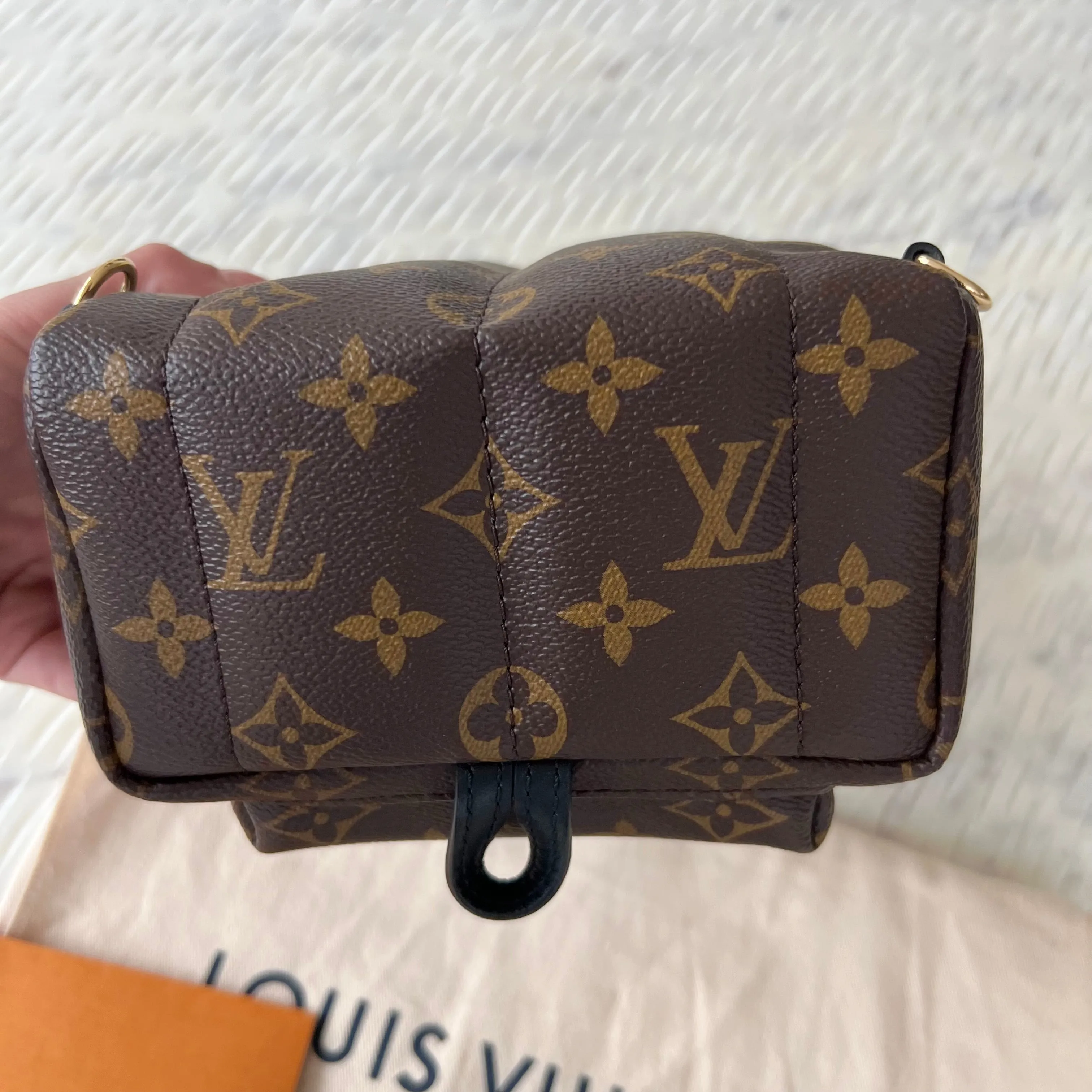 Louis Vuitton Palm Springs Mini Backpack